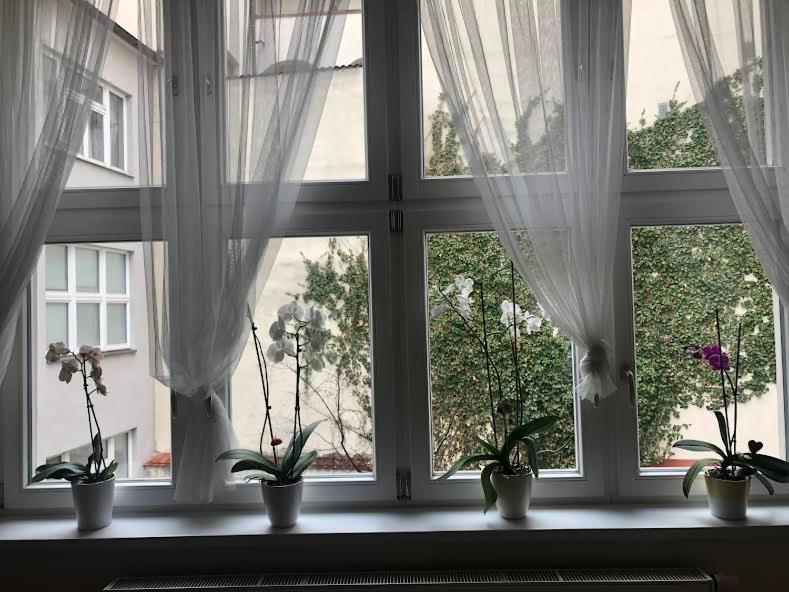 Cozy Apartment In The City Centre Olomouc Exterior photo